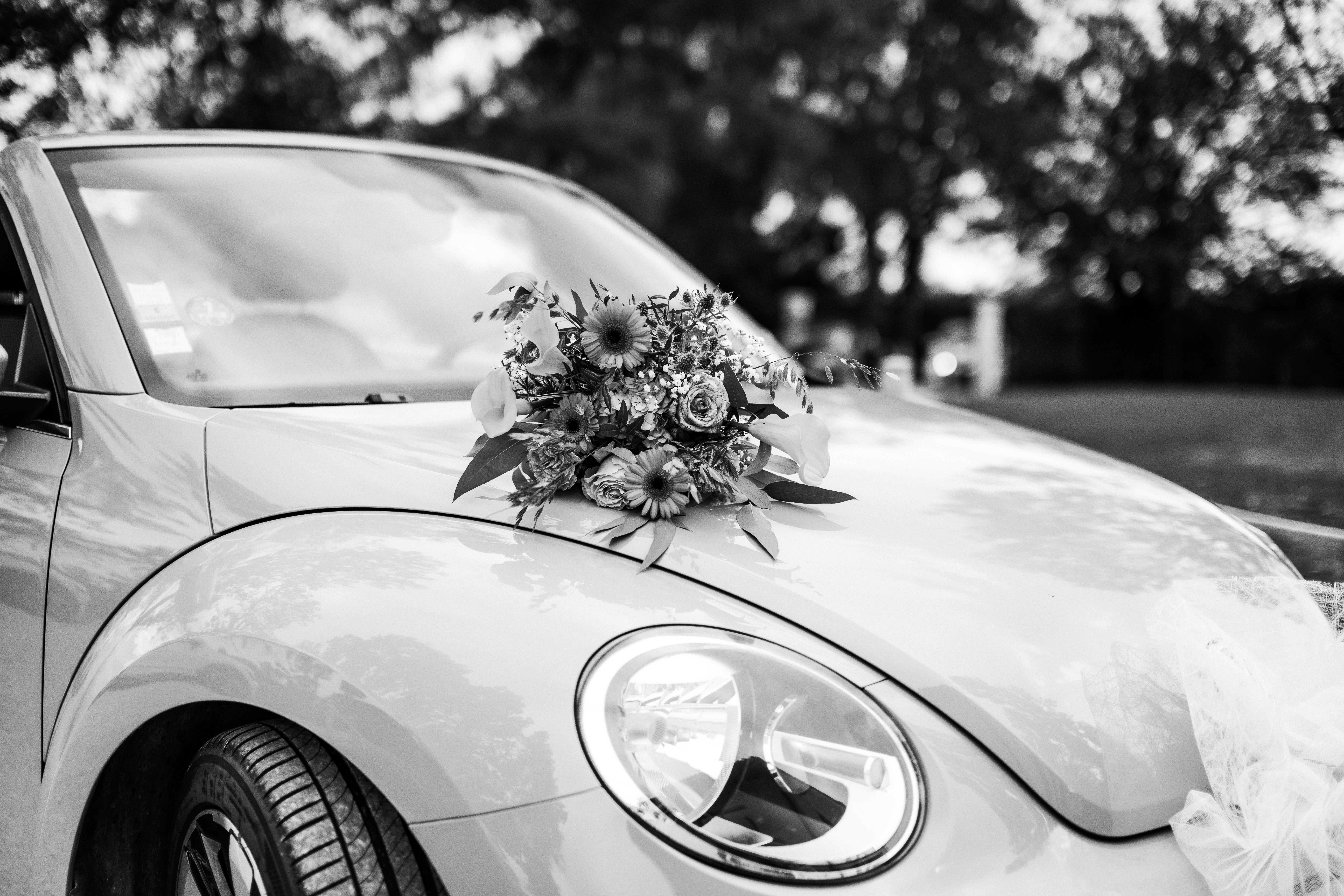 bouquet de fleurs sur capot de voiture