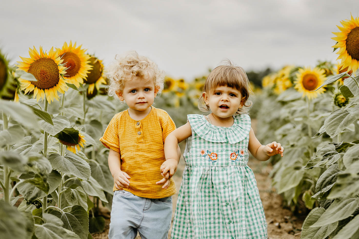 deux enfants dans les tournesols à toulouse