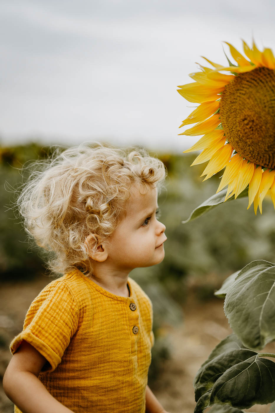 Enfant qui regarde le tournesol