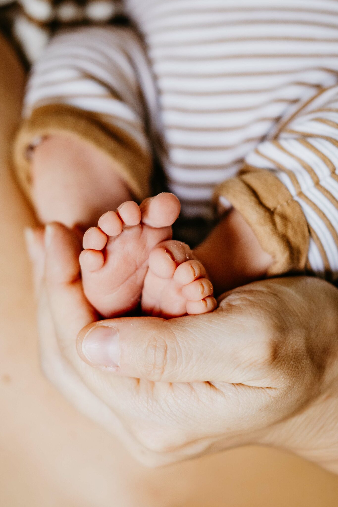 nouveau né photo à domicile