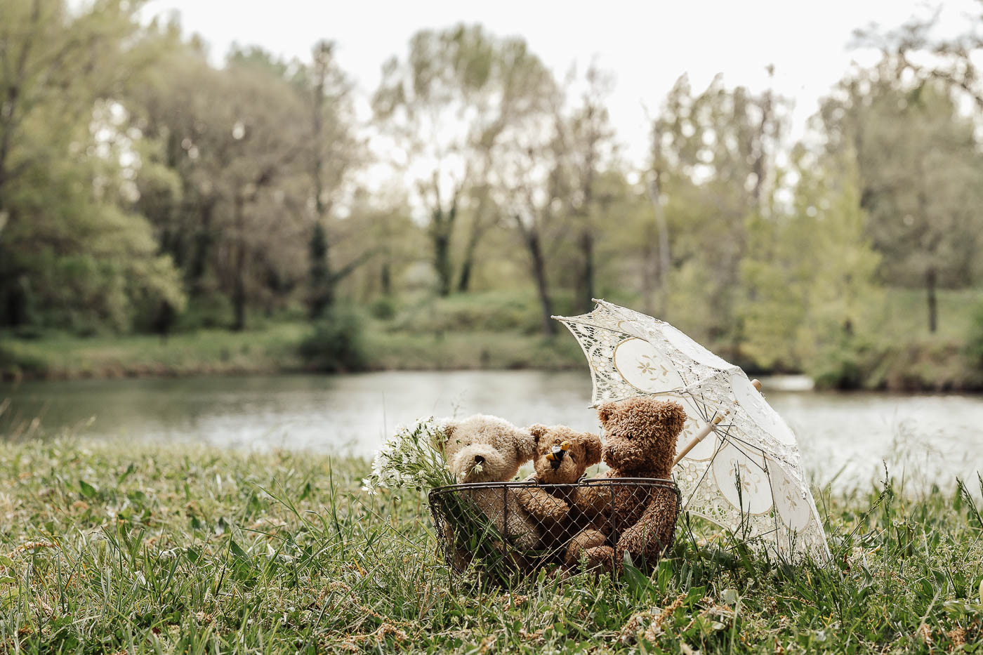 panier avec 3 nounours au bord d'un lac