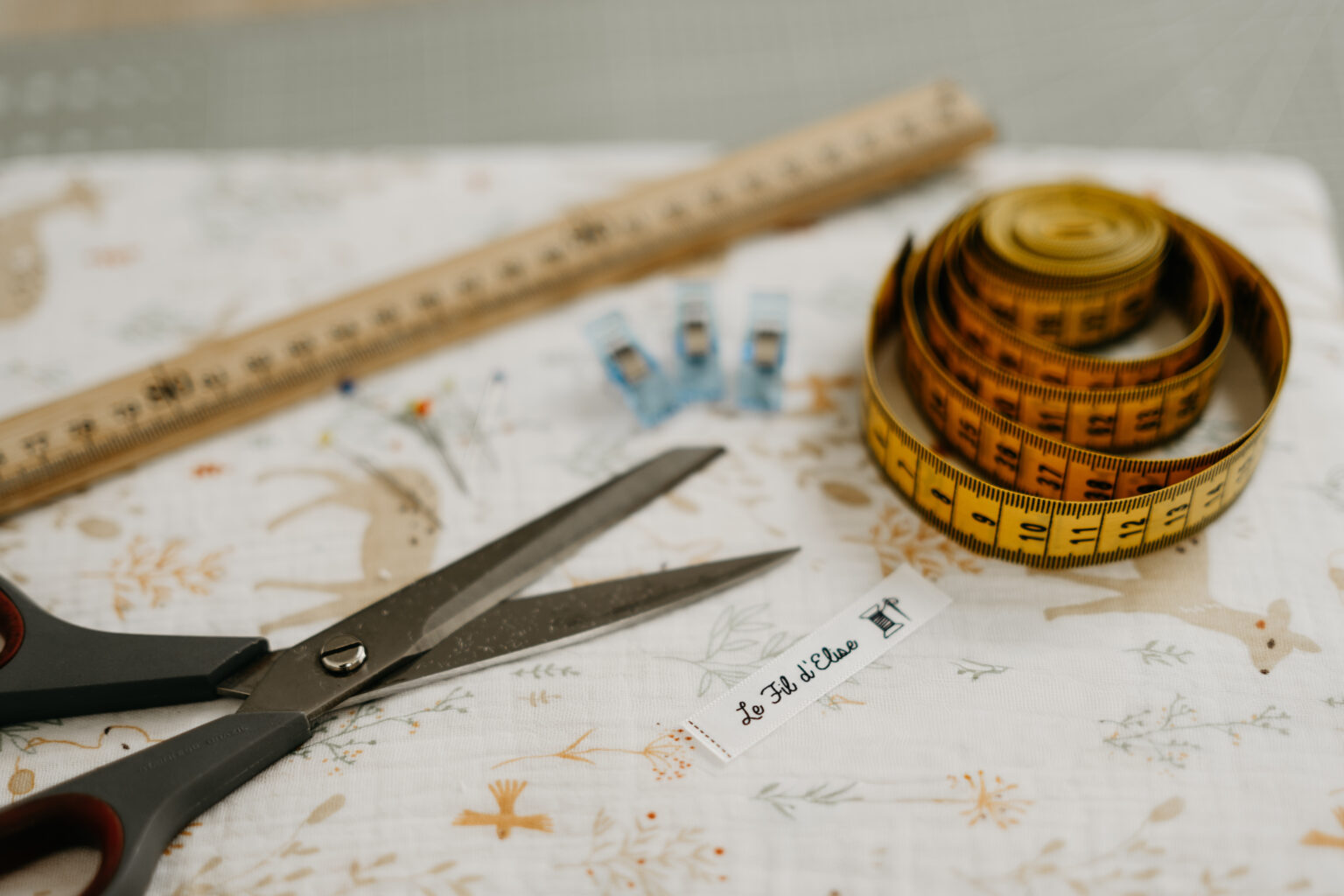 photographe toulouse