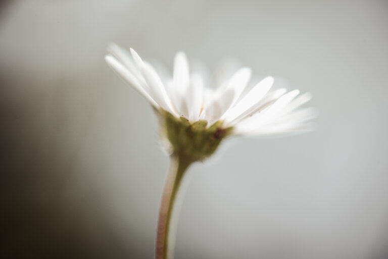 Ma première participation aux Portraits du Cœur à Toulouse : une évidence profondément humaine