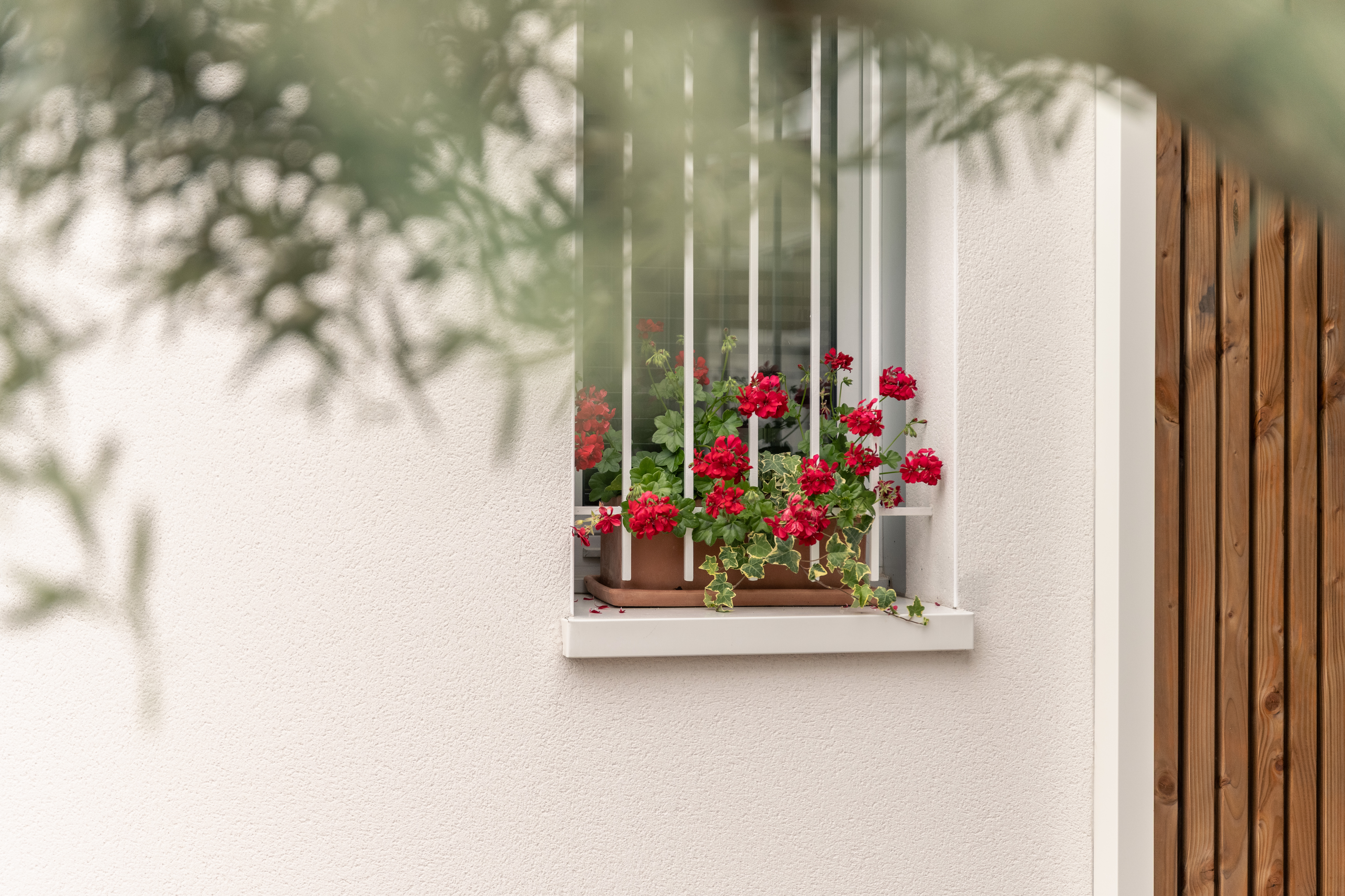 Photographie immobilière à Toulouse