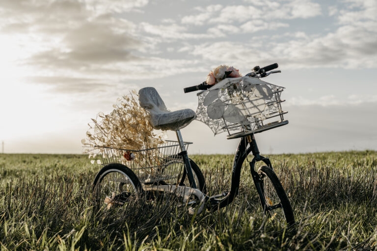 Séance photo engagement à Toulouse