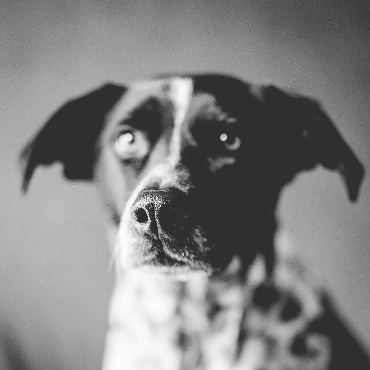 tirage photo toulouse