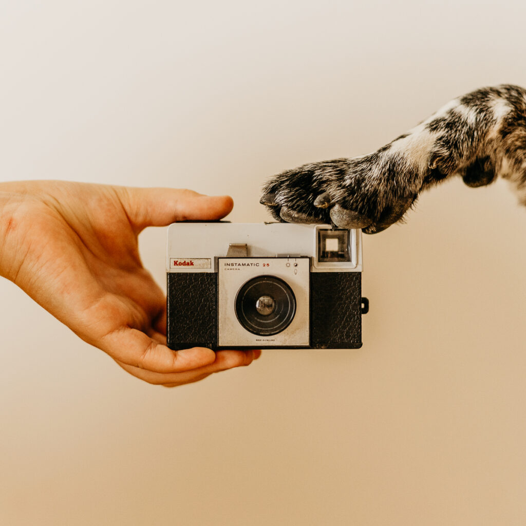 photographe toulouse, tout savoir avant la séance photo