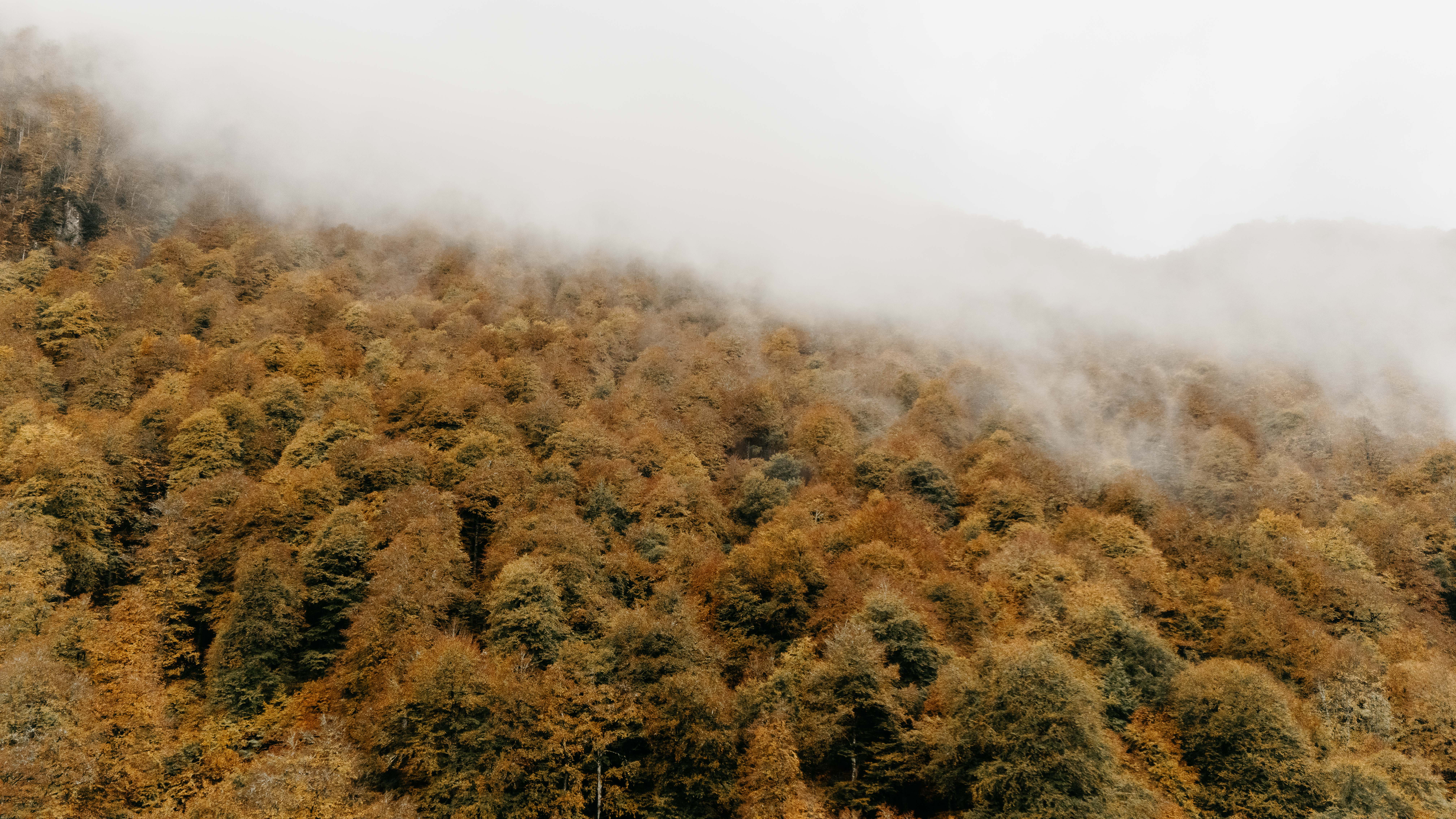 DJI_20251101204723_0715_D